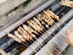 -尚庄度假村·庭台树下·户外烧烤·团建CS·轰趴营地(上庄水库店)