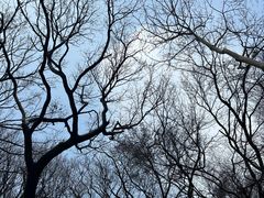 -穹窿山景区