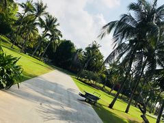 -亚龙湾喜来登·美景台大堂吧