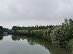 -苏州太湖国家湿地公园