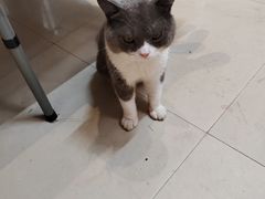 -麦香坊(伏波山店)