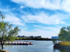 -大兴滨河森林公园