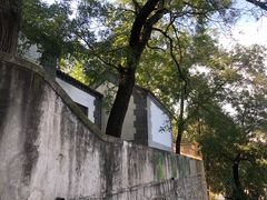 -北京鹫峰国家森林公园