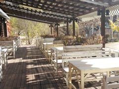 -Local泰莲庭(虹鳟鱼店)