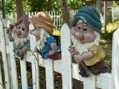 -前小桔亲子创意农场·草莓采摘·露营烧烤