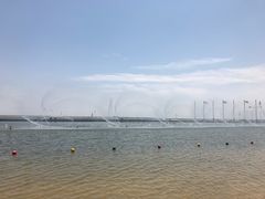 -碧海金沙