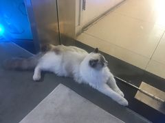 -零纪元VR体验馆·桌游(黄浦店)