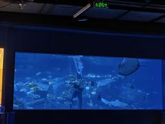 -重庆欢乐海底世界