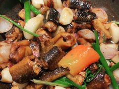 -大榕树下顺德菜(融创茂店)