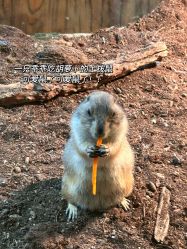 -Zoolung Zoolung动物主题公园(海信广场店)