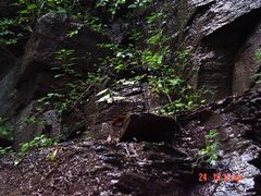 景点-云台山风景名胜区