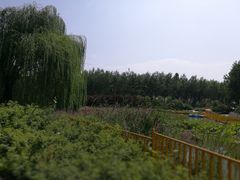 -仁和公园(顺义区)