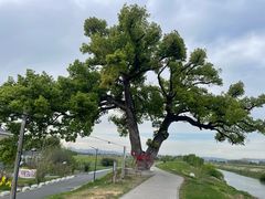 -乌龙涧铁道铁轨景