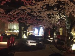 -蓝鲸湾汤泉(包河店)