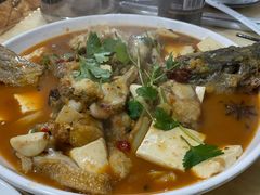 -煲来饱去冷水鱼