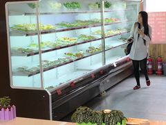 -珍巴奴毛肚牛肉小火锅(四惠店)