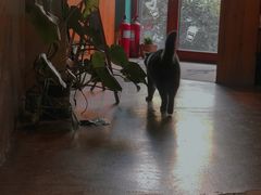 -初见咖啡(青大路店)