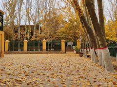 -艾提尕尔清真寺