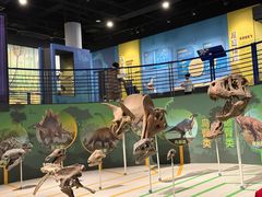 -国家自然博物馆