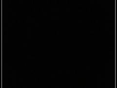 -顺旺基大厨现炒(哥伦布店)