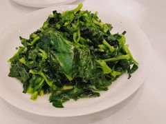 酒香豆苗-老吉士(环贸iapm店)