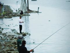 -贡湖湾湿地公园