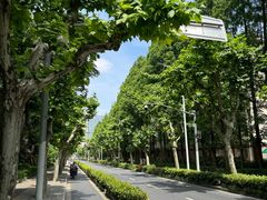 -叶家花园