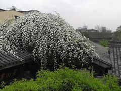 -见山书院