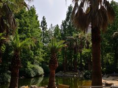 -苏州河梦清园环保主题公园