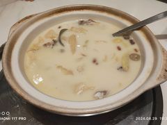 -喜上喜鸡煲翅(吉大店)