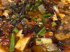 -盛天毛血旺非遗美食(观音桥店)