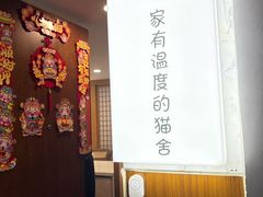 -猫十亿·布偶金渐层·曼基康矮脚猫舍(青年路店)