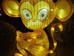 -南宫五洲植物乐园