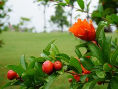 -广富林郊野公园