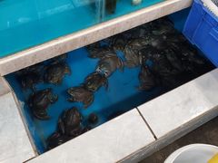 水产区-钓台野鱼馆(钱江国际时代广场店)