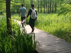 -溱湖国家湿地公园