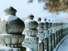 -颐和园