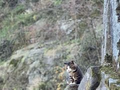 -武当山风景区