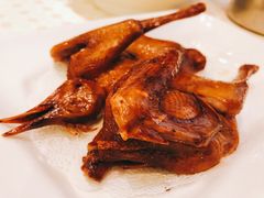 顺风乳鸽-顺风海鲜港(金玉兰店)