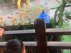 -西双版纳原始森林公园