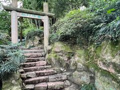 -西泠印社
