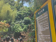 -将军关探险漂流