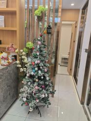 -芳朵美容养生SPA