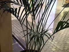 -涟LIAN·泰式按摩·MASSAGE·SPA(深业上城店)