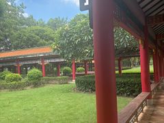 -顺峰山公园