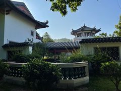 -广东花都湖国家湿地公园