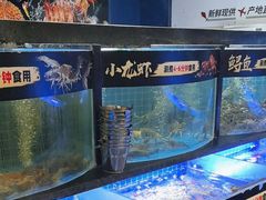 -福禧荟·海鲜自助