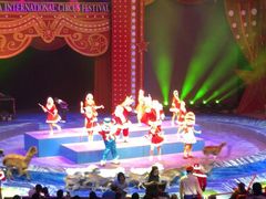 -珠海横琴长隆《卡卡虎奇遇记》