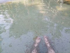 -罗浮山嘉宝田森林温泉度假酒店