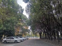 -胜华驾校·小猫学车(银都店)
